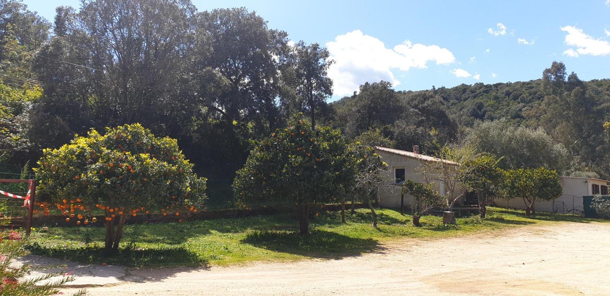 Auberge De Cannedda Sari-Solenzara Rum bild
